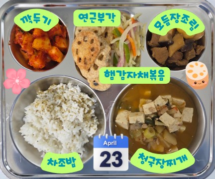 차조밥 
 청국장찌개 5,69
모듬장조림 1,5,6,10,13
햄감자채볶음 
- 1,2,5,6,10,15,16
깍두기 9 / 연근부각_이미지